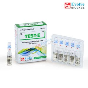 테스트 E (테스토스테론 에난테이트 Testosterone Enanthate 250mg/ml)