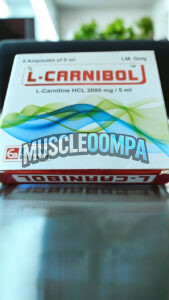 L-카르니볼 (L-카르니틴 HCL L-Carnitine HCL 2000mg/5ml) photo review