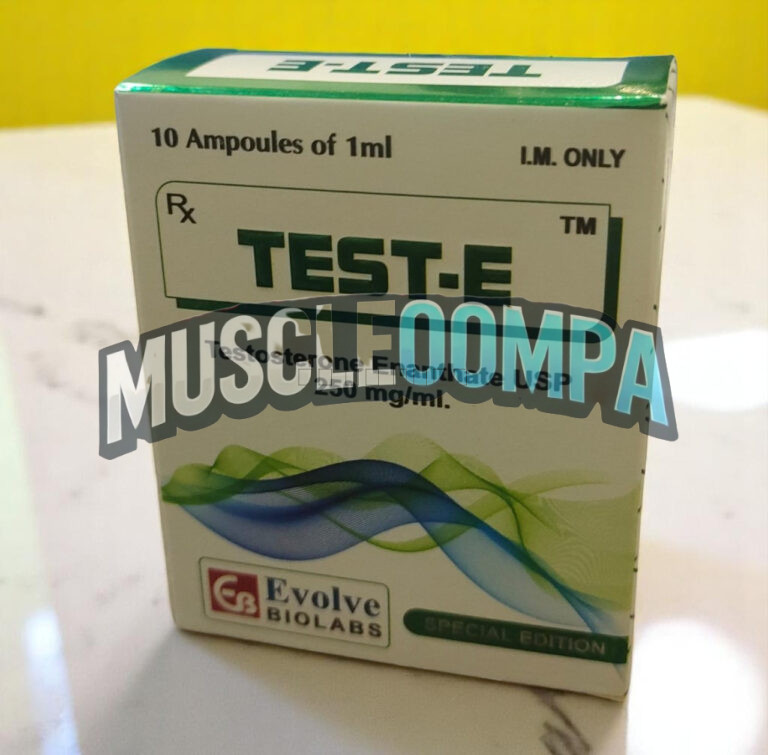 Click to view full screen 테스트 E (테스토스테론 에난테이트 Testosterone Enanthate 250mg/ml) photo review