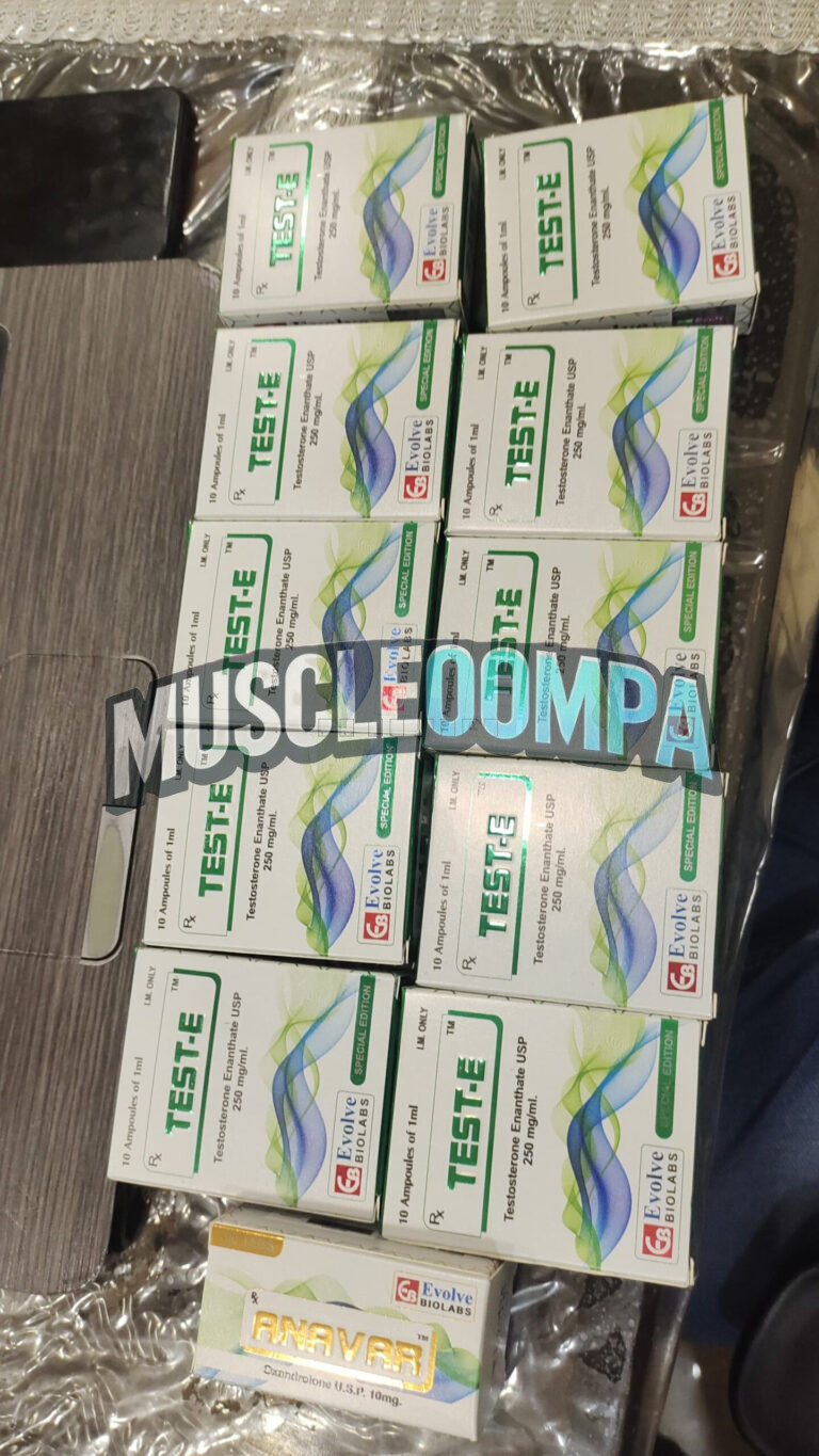 Click to view full screen 테스트 E (테스토스테론 에난테이트 Testosterone Enanthate 250mg/ml) photo review