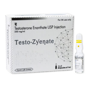 테스토-자이에네이트 (테스토스테론 에난테이트 Testosterone Enanthate 250mg/ml)